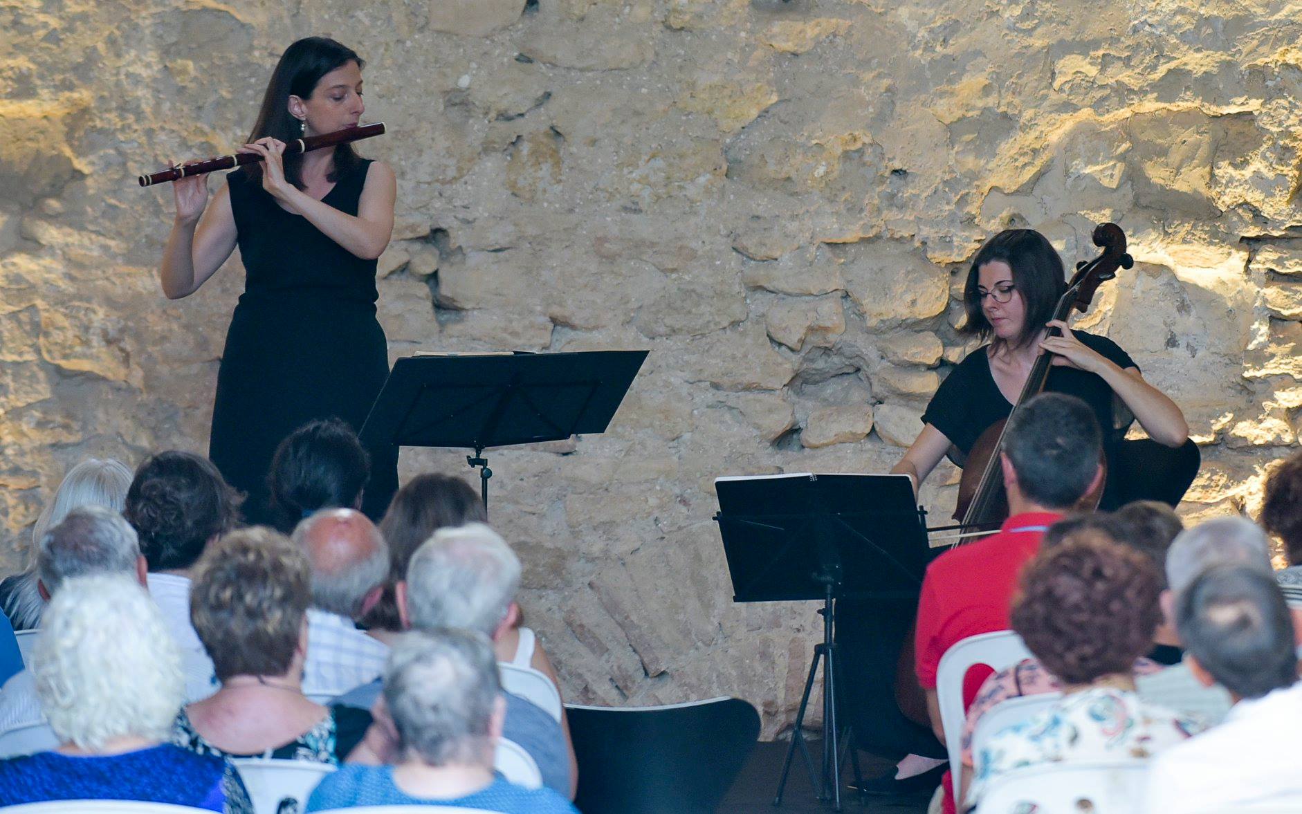 36669885_2094464567494240_4849522448078471168_o